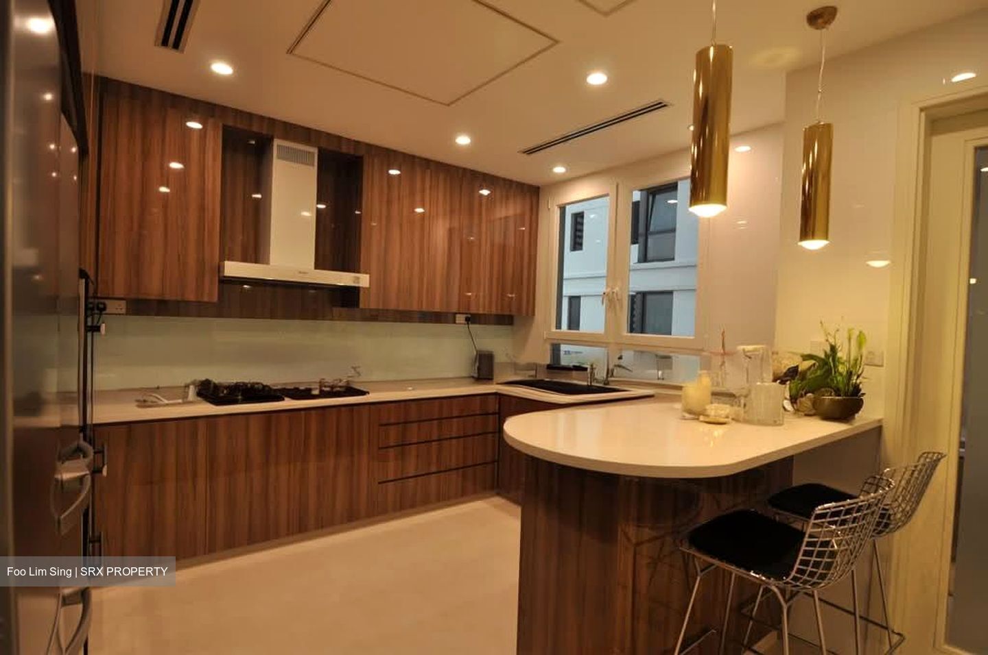 Ardmore Park (D10), Condominium #583997401